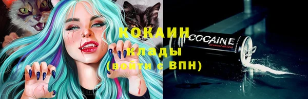 стафф Алексин