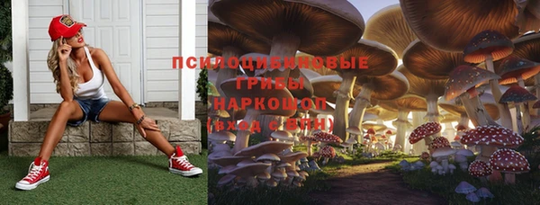 стафф Алексеевка