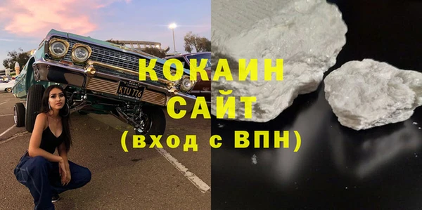 стафф Алексин