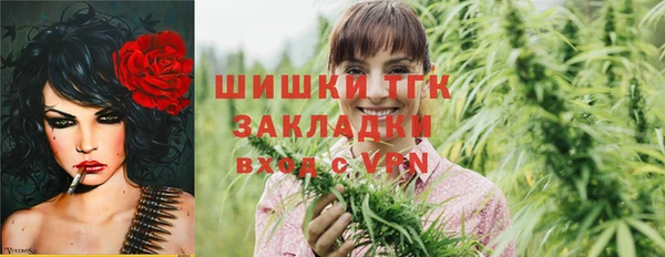 стафф Алзамай