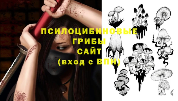 стафф Алексин