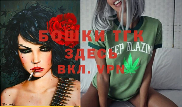 стафф Алзамай