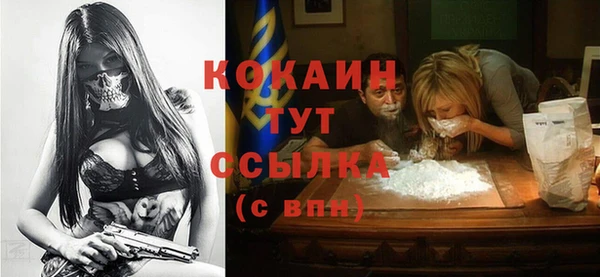 стафф Алексин