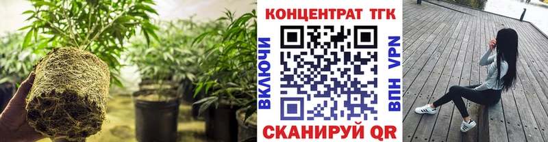 ТГК жижа  сколько стоит  Заполярный 