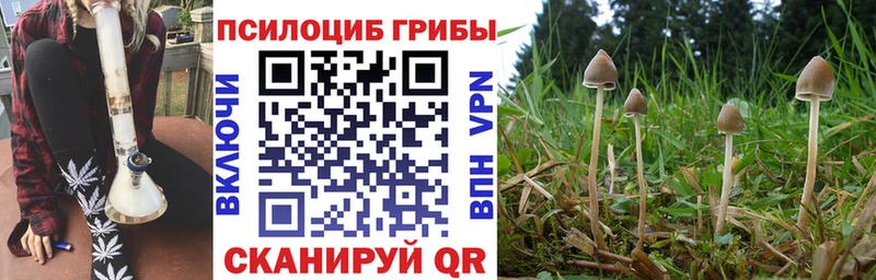 Галлюциногенные грибы Cubensis Заполярный