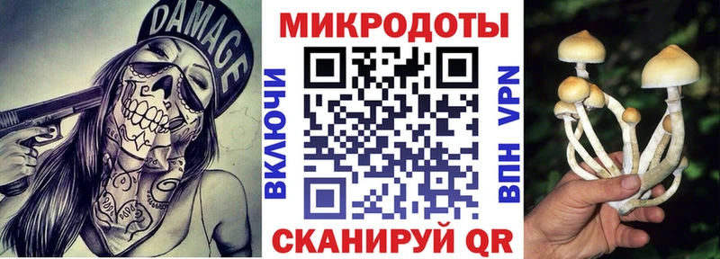 Псилоцибиновые грибы MAGIC MUSHROOMS  Заполярный 